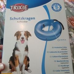 Dog protective Collar