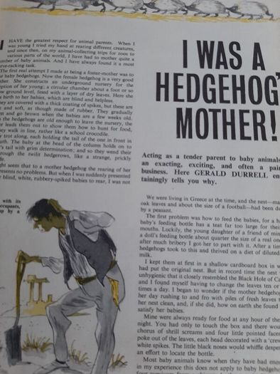 Vintage June annual from 1963