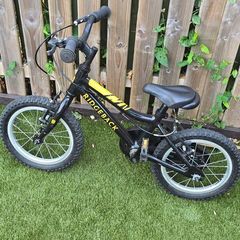 Ridgeback Mx14