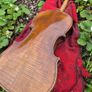 Violin Image 3
