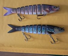 2 Large Segmented Minnows