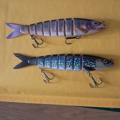 2 Large Segmented Minnows