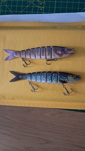2 Large Segmented Minnows