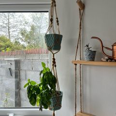 plant hanger and pots
