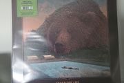 Villagers fever dreams dark green coloured vinyl
