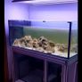 480L fish tank. Image 3