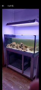 480L fish tank.