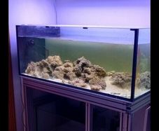 480L fish tank.