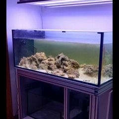 480L fish tank.