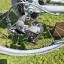 Lady's bike Image 7