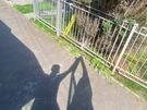 waste removal Image 10