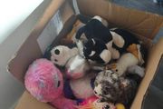 free Baby Soft toy.
