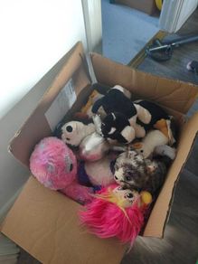 free Baby Soft toy.