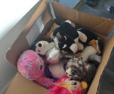 free Baby Soft toy.
