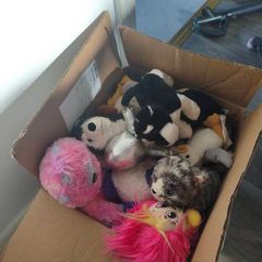 free Baby Soft toy.