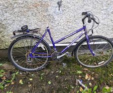 5 bikes