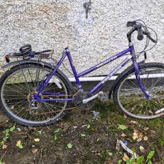5 bikes