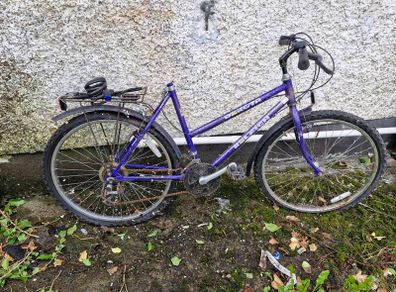 5 bikes