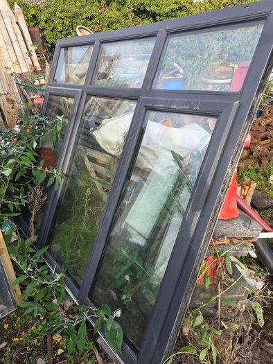 windows