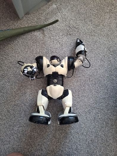 Robots