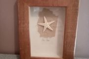 'Sea Star'
