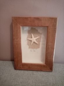'Sea Star'