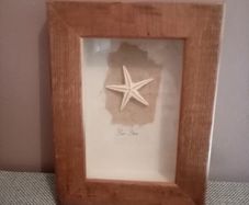 'Sea Star'