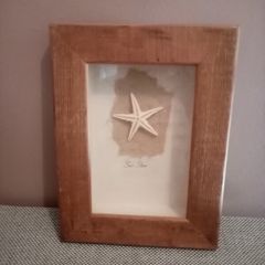 'Sea Star'