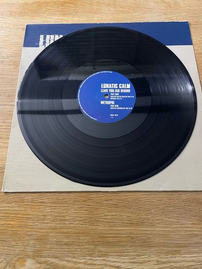 Lunatic Calm - Leave You Far Behind - 12" Vinyl Promo Single - 1997 MCA Records