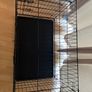 Dog Crate Image 3
