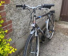 Raleigh P1000
