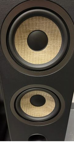 Focal aria 948
