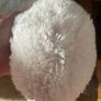 Large cuddly toy Image 5