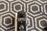 TC Electronic Ditto Looper