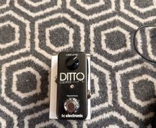 TC Electronic Ditto Looper