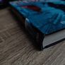 The Oxford Illustrated History Of Modern Europe ! Hardcover ! 1996 ! by Oxford University Press ! Image 5