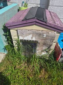free dog kennel