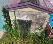 free dog kennel