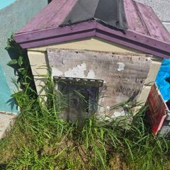 free dog kennel