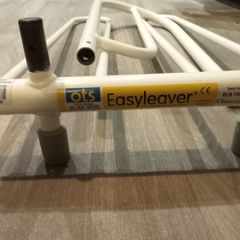 Adult bed rail
