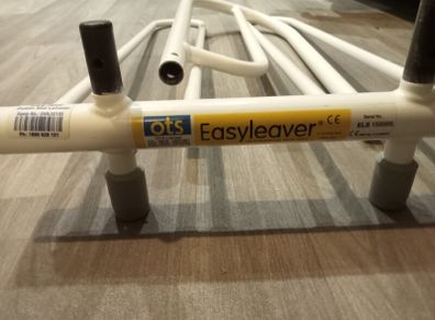 Adult bed rail