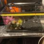 fish tank Image 2