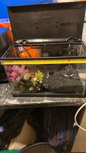 fish tank