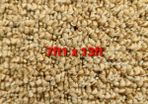 carpet 7ft1 x 13ft