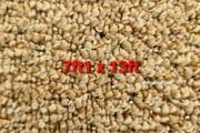 carpet 7ft1 x 13ft