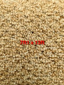 carpet 7ft1 x 13ft
