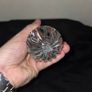 Unique Glass Knife/Letter Opener Image 7