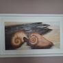 'Seashore' Image 2