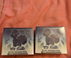 Pokemon Silver Tempest