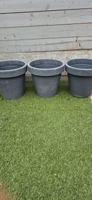 large flower pot